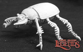 Giant Scarab Beetle