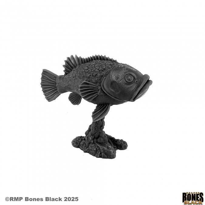 Bones Black: Dire Grouper