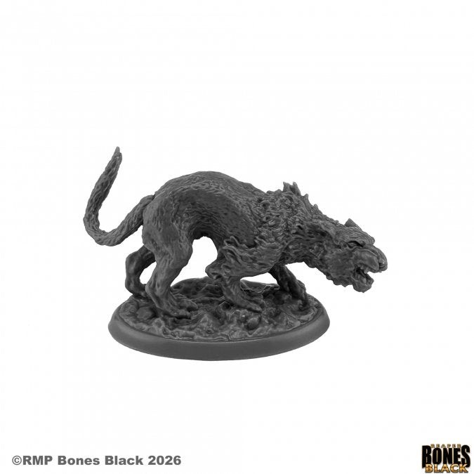 Bones Black: Elven Cat