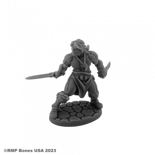 Reaper 07116: Hyborian Hero