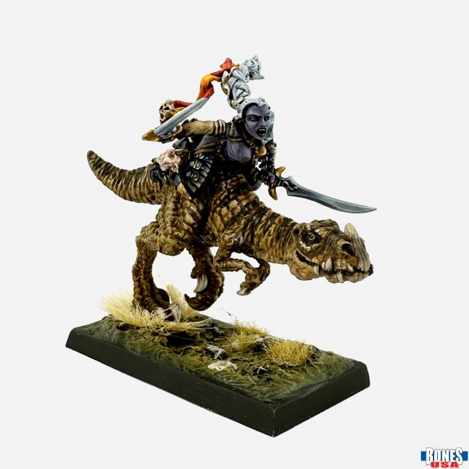 Female Dark Elf on Lizard