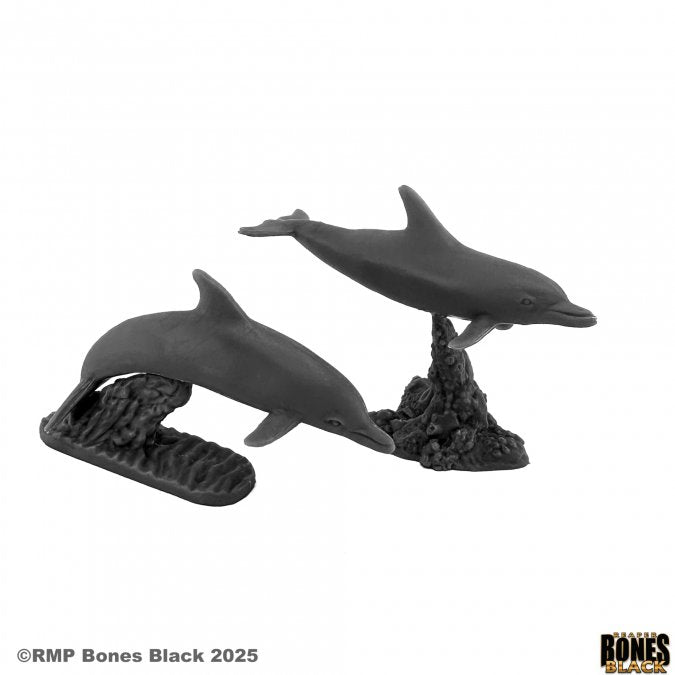 Bones Black: Dolphins (2)