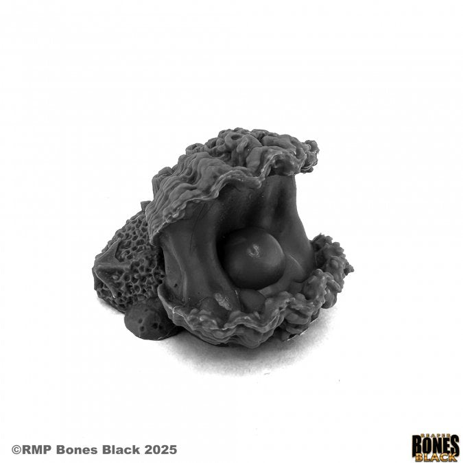 Bones Black: Giant Clam