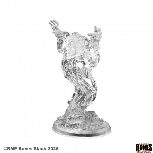 Bones Black: Szellem, Ghost